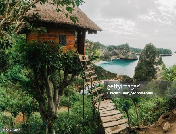 scenic view of tree house near the sea on nusa penida - jungle hut stock pictures, royalty-free photos & images