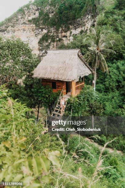 landschaftlich reizvoller blick auf die frau in der nähe des baumhauses in der nähe des meeres auf nusa penida - nusa penida stock-fotos und bilder