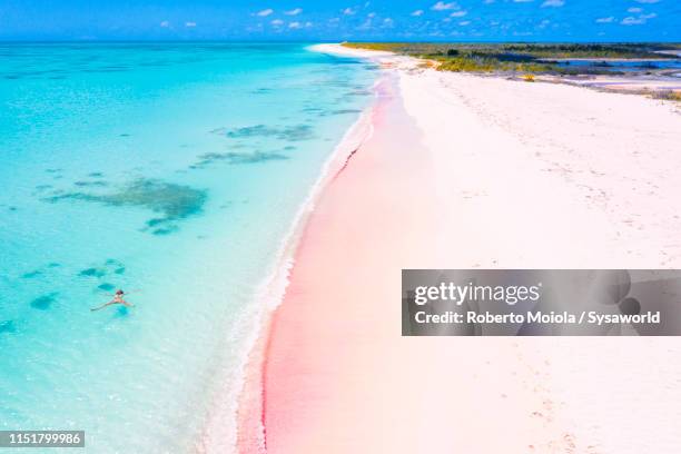 aerial view of woman floating in turquoise sea, pink sand beach, barbuda, caribbean - ilha harbor - fotografias e filmes do acervo