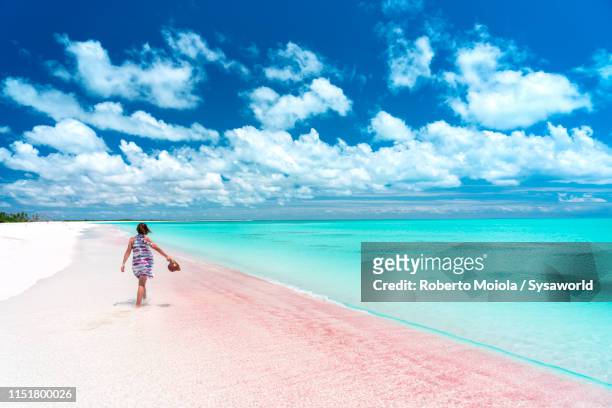 woman walking through  shallow crystal water, caribbean - ilha harbor - fotografias e filmes do acervo