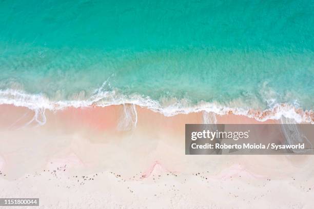 aerial view of waves crashing on pink sand beach, caribbean - isla harbor fotografías e imágenes de stock