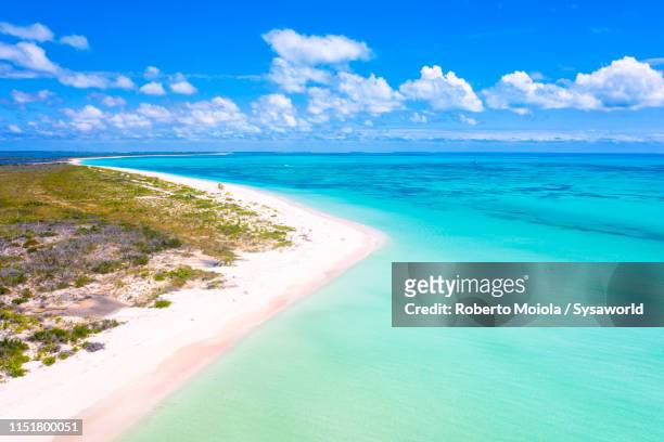aerial view of pink sand beach, caribbean - antigua & barbuda 個照片及圖片檔