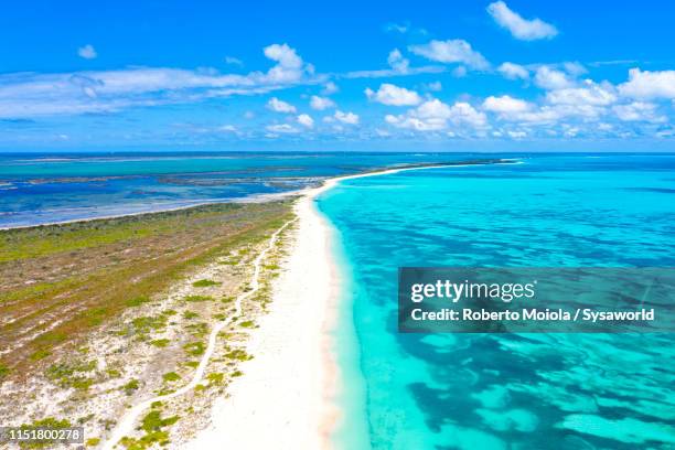 aerial view of pink sand beach and crystal sea, barbuda, caribbean - barbuda stock pictures, royalty-free photos & images