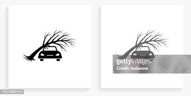 tree fall black and white square icon - tree shadow white background stock illustrations