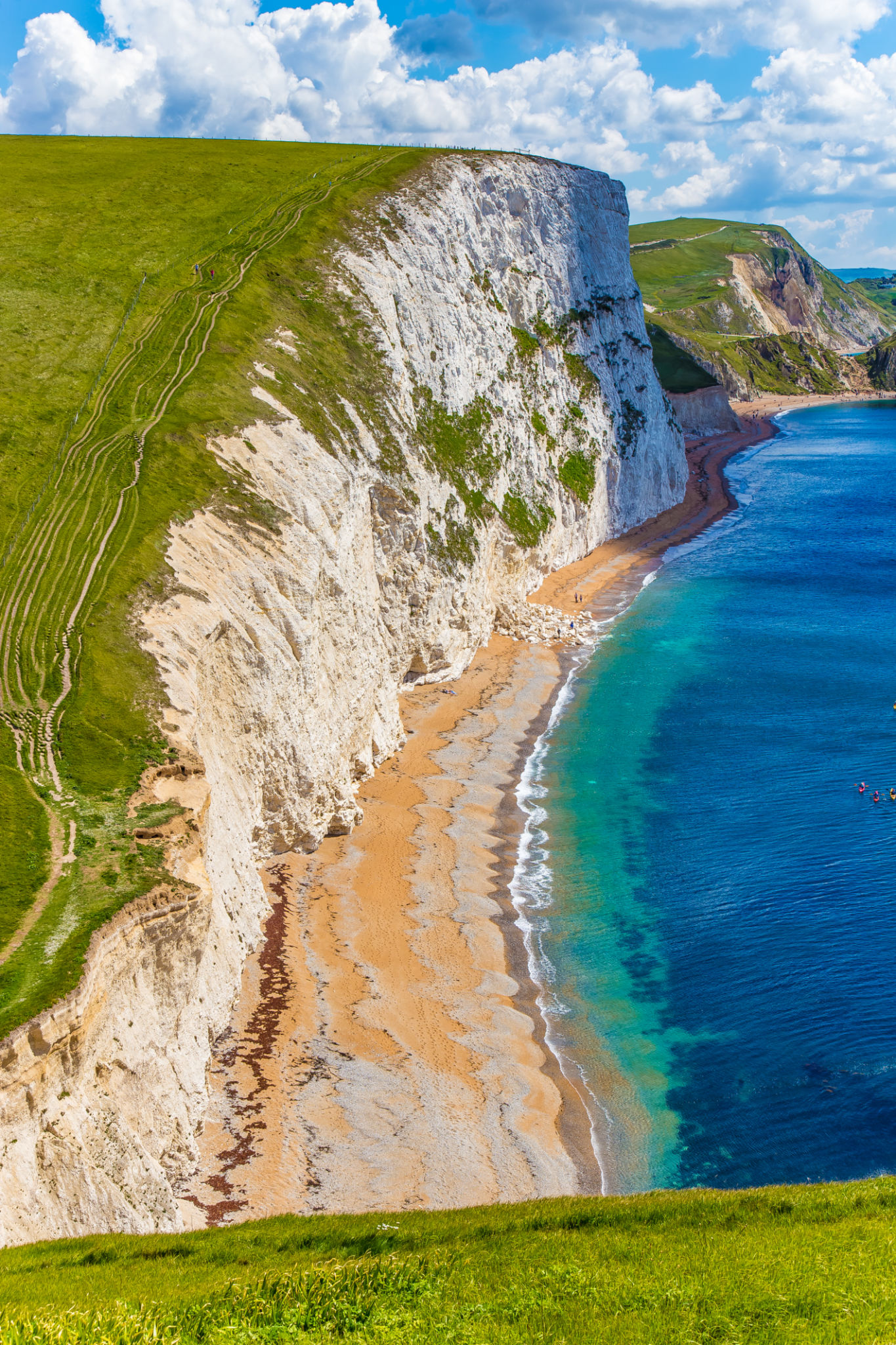 jurassic coast delivery