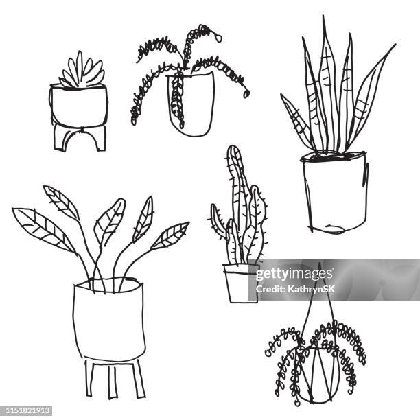 illustrations, cliparts, dessins animés et icônes de plantes de maison noir et blanc - cache pot