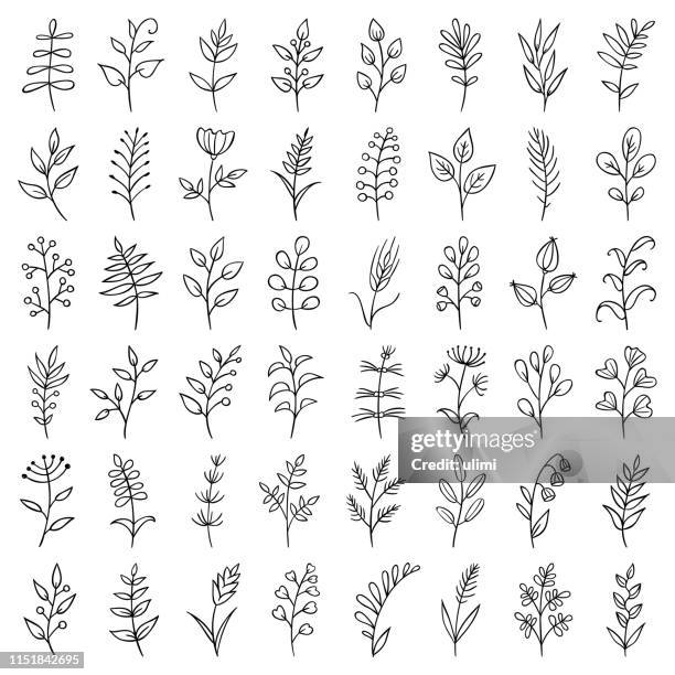 hand drawn plants - black and white nature stock illustrations