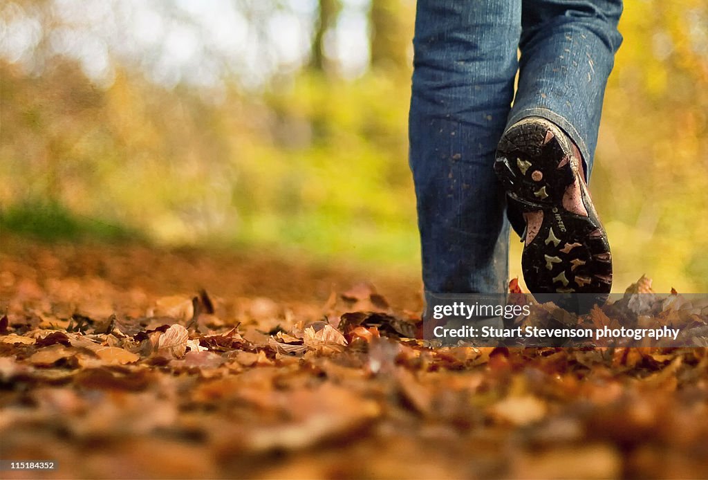 Autumn walk