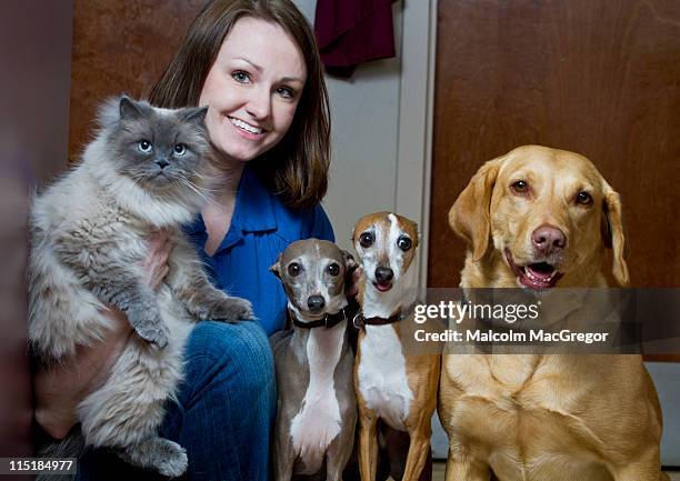 cat and dog - dog family stock pictures, royalty-free photos & images