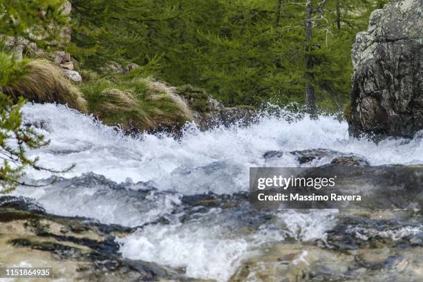 mountain rapid - river rapids stock pictures, royalty-free photos & images