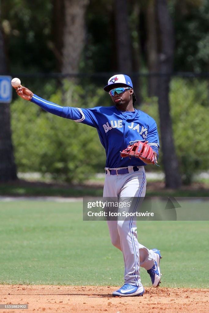 MiLB: JUNE 24 Gulf Coast League - Blue Jays at Tigers West