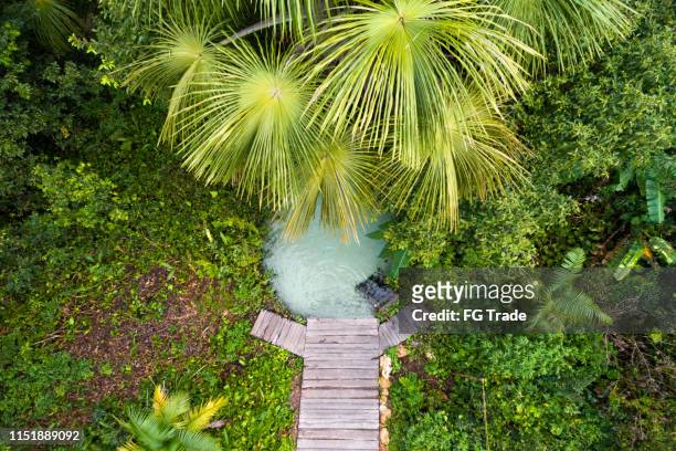 top view of fervedouro rio do sono and forest in jalapão - tocantins stock pictures, royalty-free photos & images