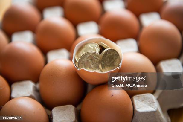 new zealand dollar coins with some eggs - new zealand money stockfoto's en -beelden