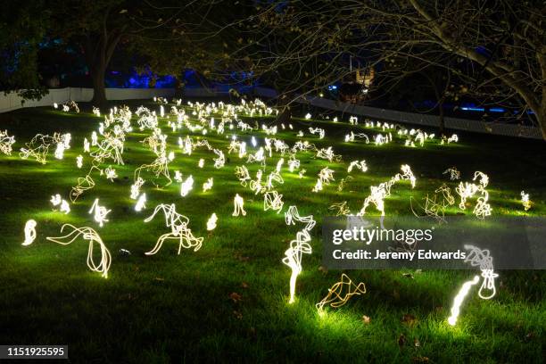 vivid sydney light festival 2019 - installation art stock pictures, royalty-free photos & images