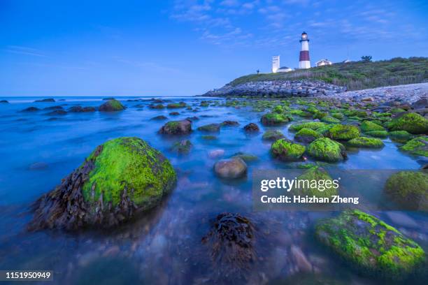 montauk point - beacon hotel stock pictures, royalty-free photos & images