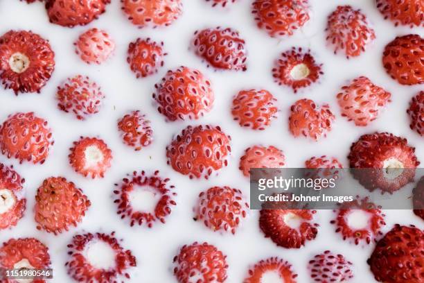 strawberries in milk - milk full frame stock pictures, royalty-free photos & images
