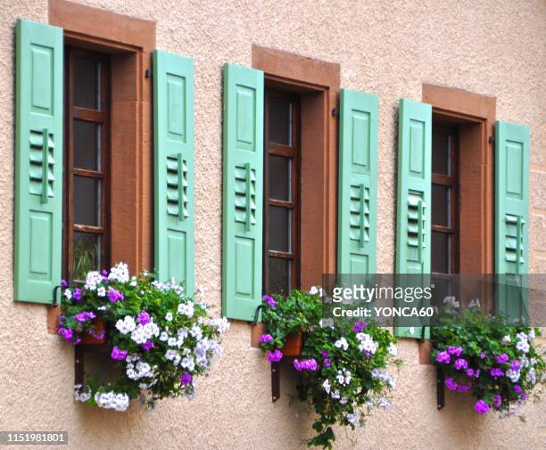 window with geranium flowers - geranie stock-fotos und bilder
