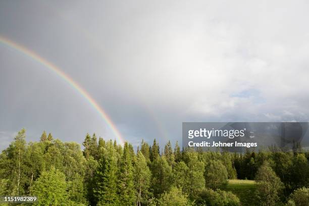 rainbow above forest - jamtland stock pictures, royalty-free photos & images