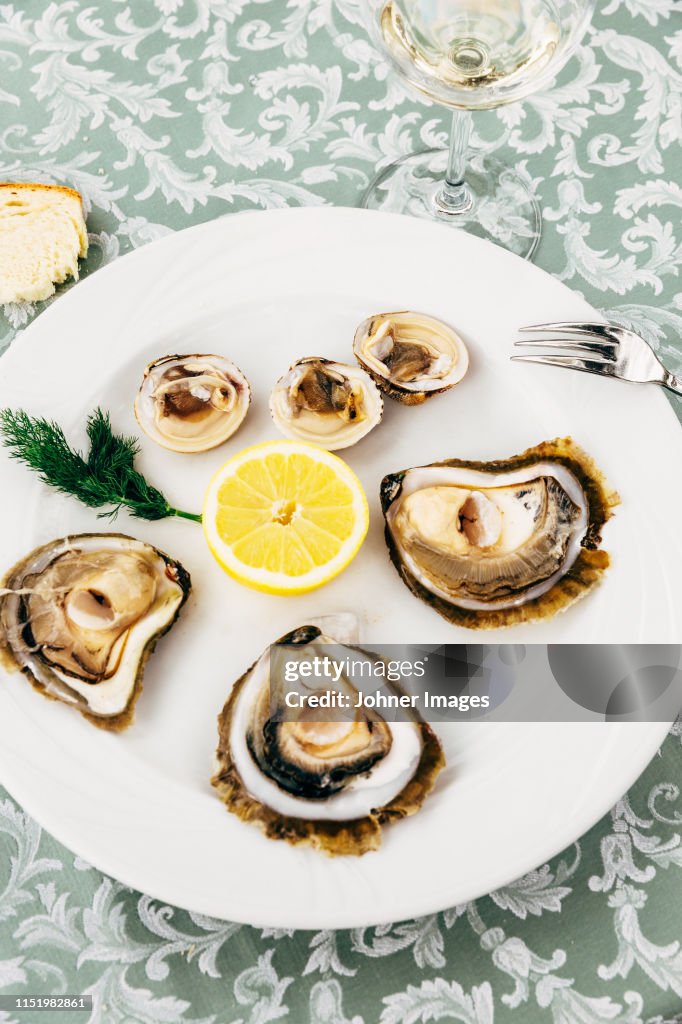 Oysters on plate