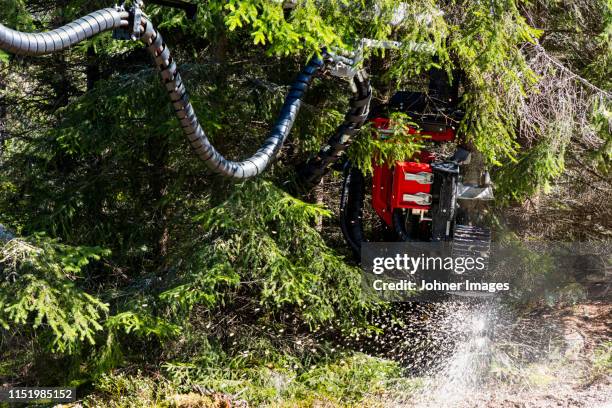 forestry harvester in forest - forest machine stock-fotos und bilder