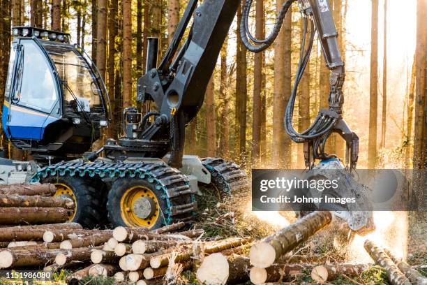 forest machine at work - forstwirtschaft stock-fotos und bilder