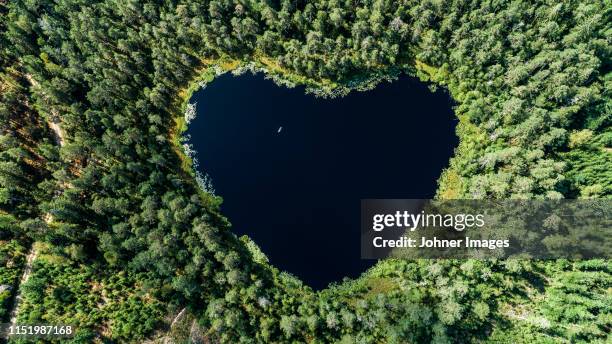 aereal of heart shaped lake - heart shape in nature stock pictures, royalty-free photos & images