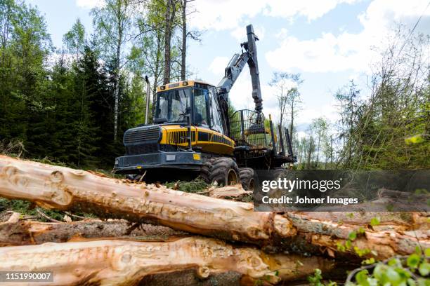 forest machine cutting trees - forest machine stock-fotos und bilder