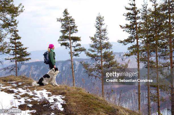 woman on winter hiking with dog, in the relaxation moment, looking at the mountain transylvania,ocolis, alba, romania. - beautiful romanian women stock pictures, royalty-free photos & images