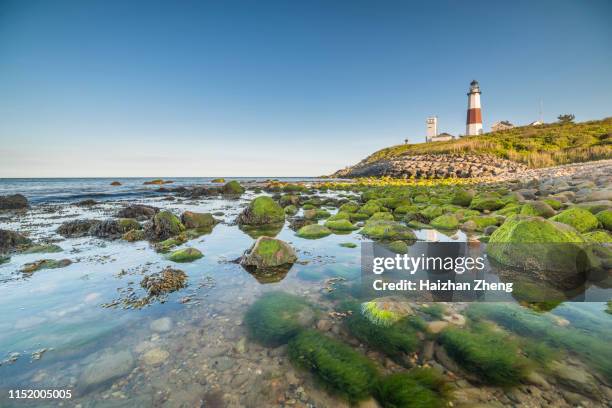 montauk point - the end - montauk point state park stock pictures, royalty-free photos & images