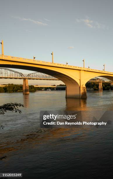 architectural detail -urban bridge - tennessee stock pictures, royalty-free photos & images