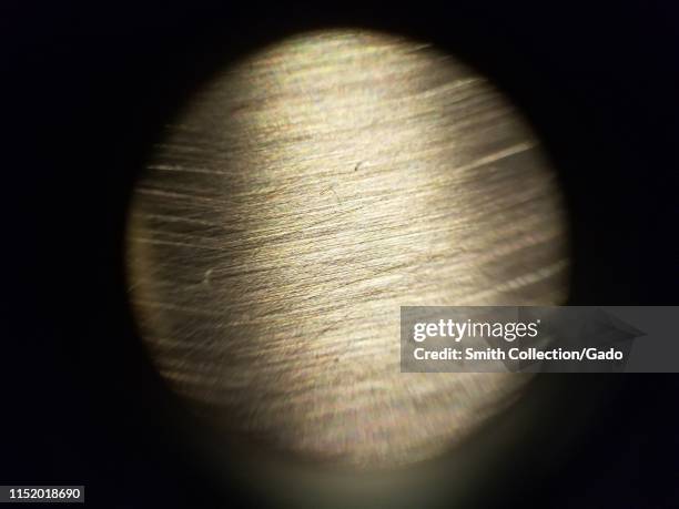 Images Of A Microscope Photos and Premium High Res Pictures - Getty Images