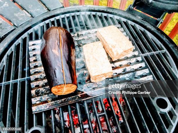 eggplant and tofu on a grill - eggplant imagens e fotografias de stock