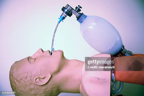 intubation of a cpr doll xxxl - intubation 個照片及圖片檔