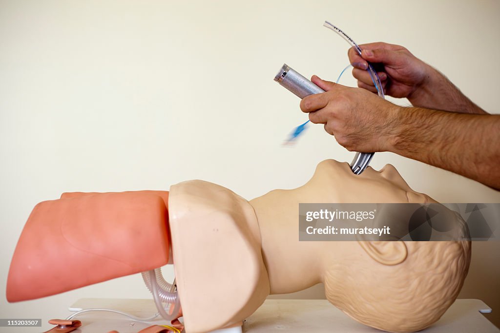 Intubation eine Wiederbelebung Puppe XXXL