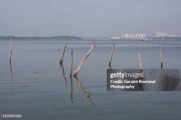 fort kochi, kerala coastline - floating moored platform stock pictures, royalty-free photos & images