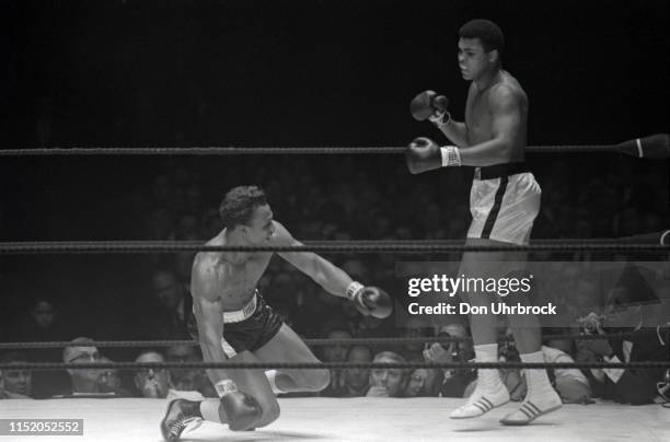 World Heavyweight Title: Muhammad Ali in action after knockdown vs Cleveland Williams getting up from canvas at Astrodome. Houston, TX CREDIT: Don...