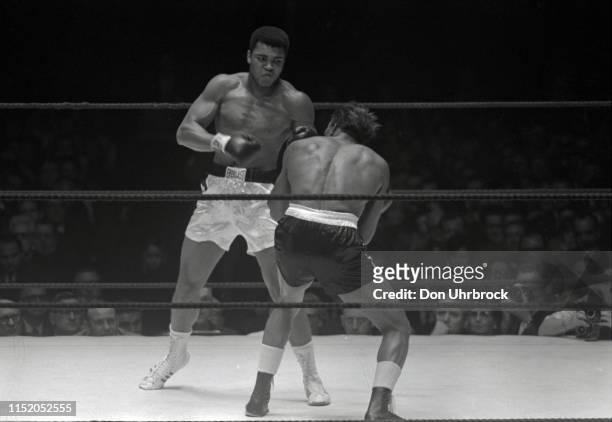 World Heavyweight Title: Muhammad Ali in action vs Cleveland Williams at Astrodome. View of SI photographer Neil Leifer in frame with camera ....