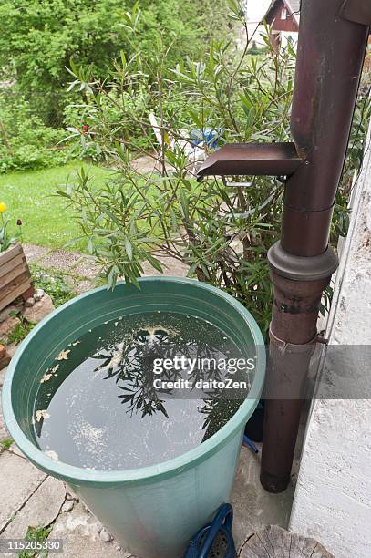 rain barrel - buckets stock pictures, royalty-free photos & images