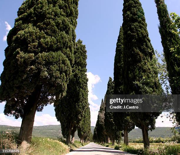 tuscany contry road - contry road stock pictures, royalty-free photos & images