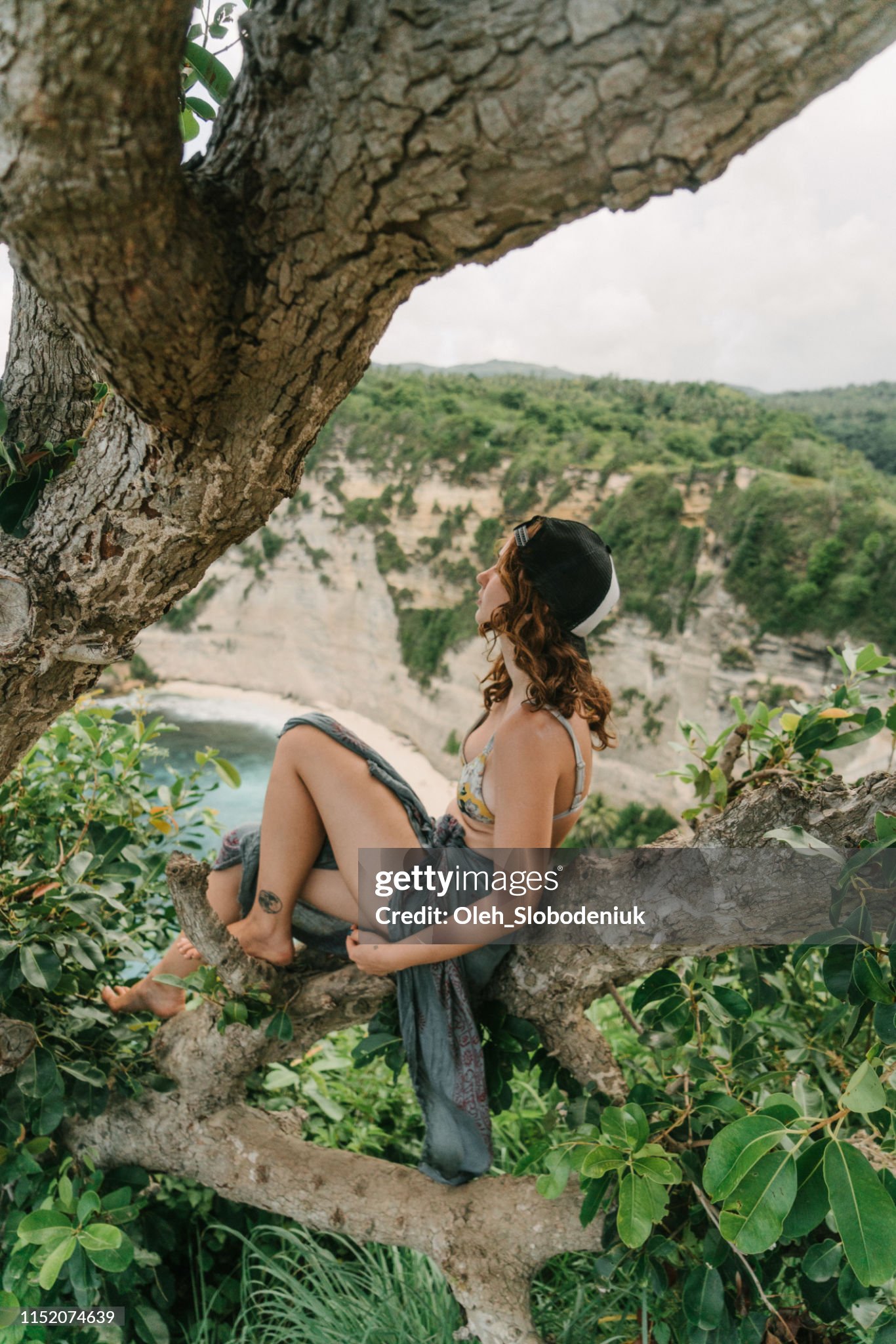 https://media.gettyimages.com/id/1152074639/photo/scenic-view-of-woman-sitting-on-tree-and-looking-at-the-beach-from-the-cliff-on-nusa-penida.jpg?s=2048x2048&w=gi&k=20&c=xPUZLwlFkH1Ki_O6YhkkdzJ-NbrTvQWOFe1_tk55W3w=