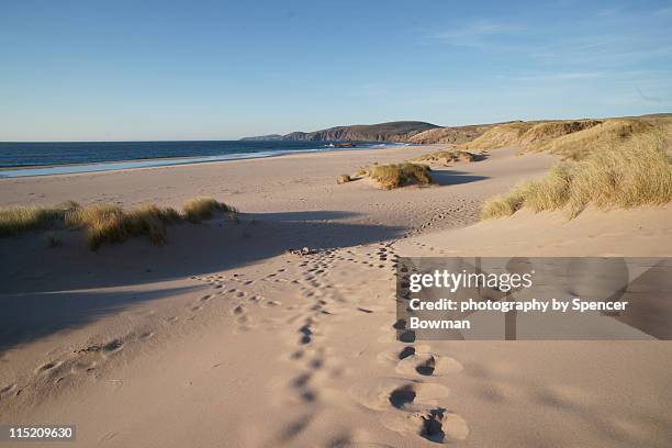 footprints on pristine sandy beach - sutherland scotland stockfoto's en -beelden