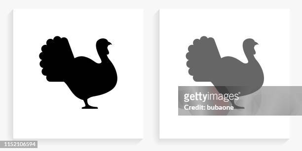 turkey black and white square icon - turkey bird icon stock illustrations