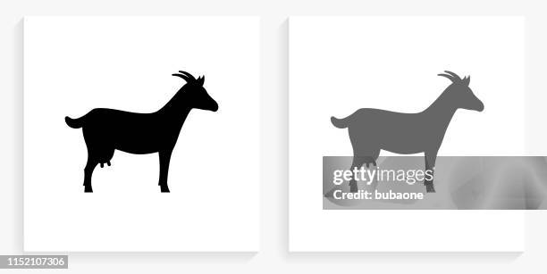 stockillustraties, clipart, cartoons en iconen met geit zwart en wit vierkant pictogram - geit