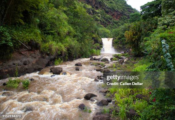 Hawaii Rivers 17 Waimea River (Oahu) Stock Photos, High-Res Pictures, and Images ...