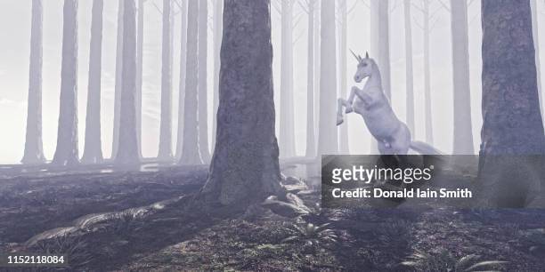 prancing unicorn in mystical forest - einhorn wald stock-fotos und bilder