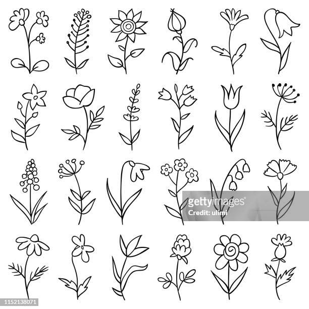 illustrazioni stock, clip art, cartoni animati e icone di tendenza di fiori disegnati a mano - botanical hand drawn