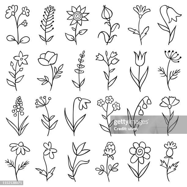 hand drawn flowers - floral in line stock illustrations