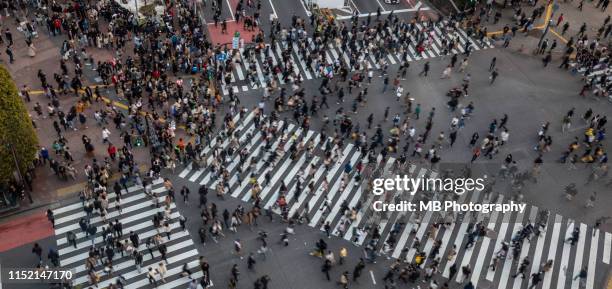 shibuya crossing - crossing stock pictures, royalty-free photos & images
