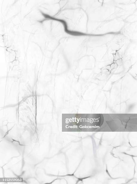 white marble texture vector background, useful to create surface effect for your design products such as background of greeting cards, architectural and decorative patterns. trendy template inspiration for your design. - white marble surface stock illustrations