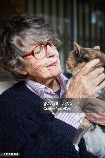 seniorenfrau spielt mit ihrer geliebten hauskatze - old woman cat stock-fotos und bilder